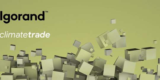 algorand climatetrade
