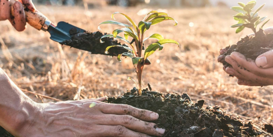 Nature-based solutions