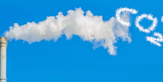 carbon credits