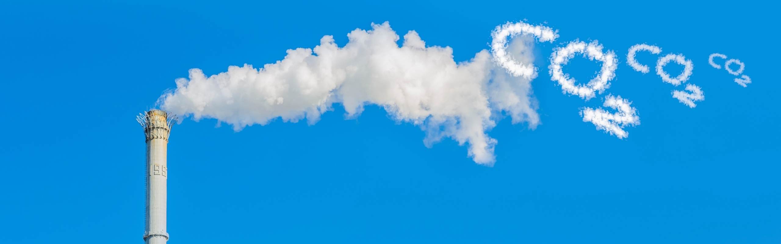 carbon credits