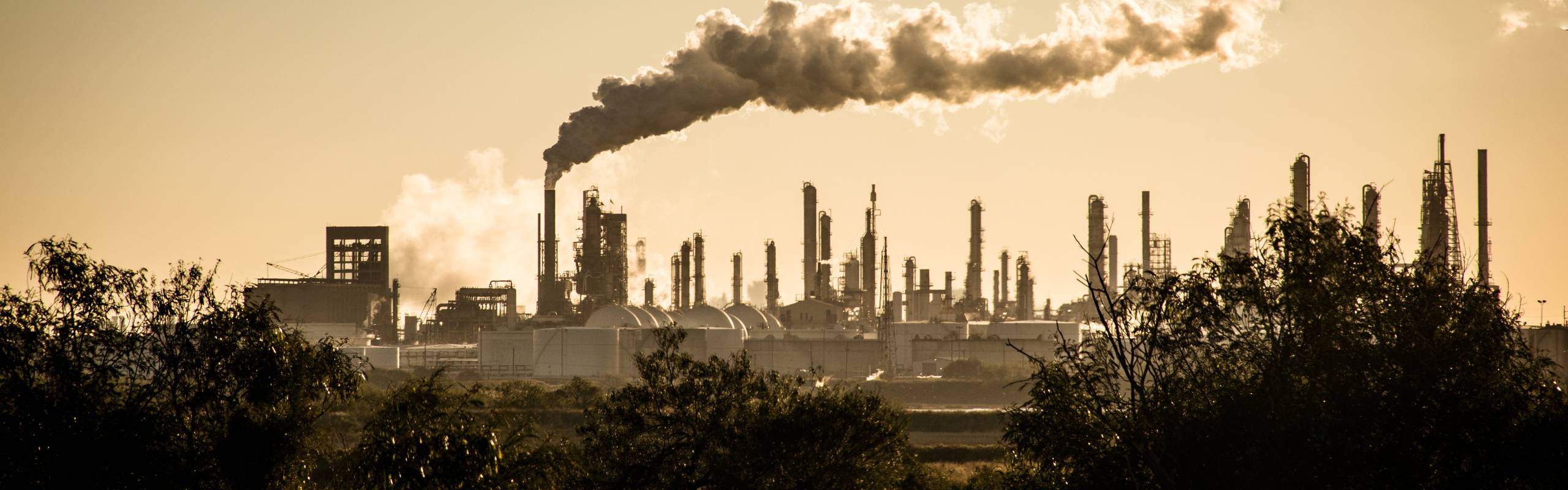 COP27 carbon market