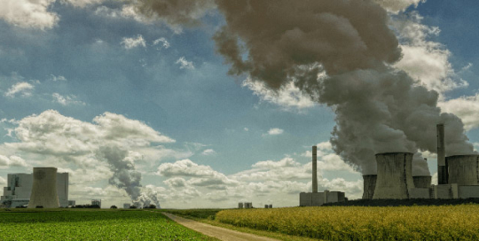 carbon credit market