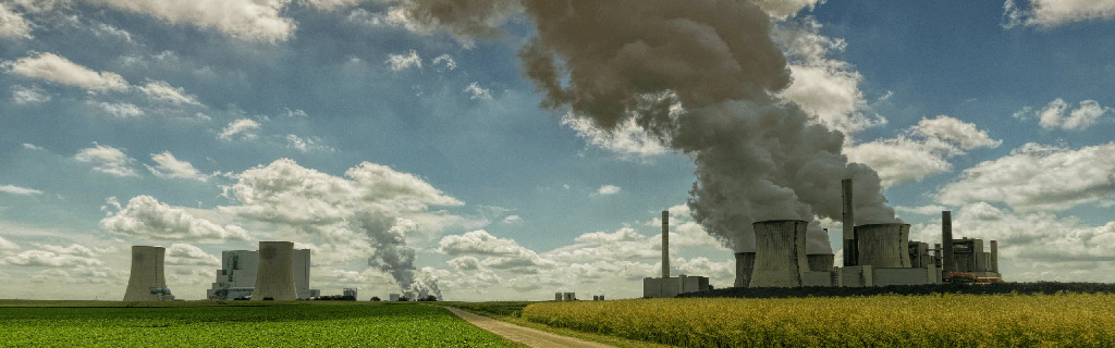 carbon credit market