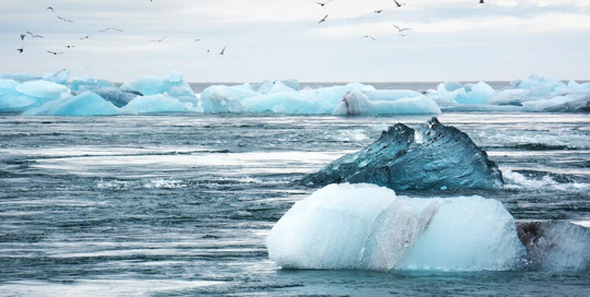 What is carbon offsetting?