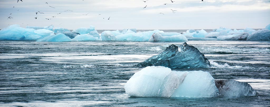 What is carbon offsetting?