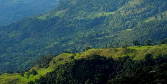 Colombia registries onto its global climate platform