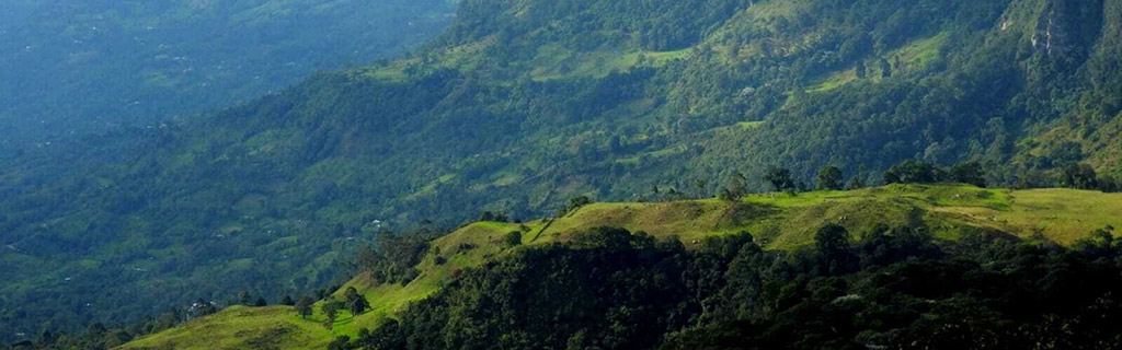 Colombia registries onto its global climate platform