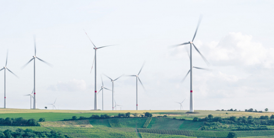 difference between zero-carbon and carbon-neutral