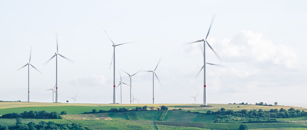 difference between zero-carbon and carbon-neutral