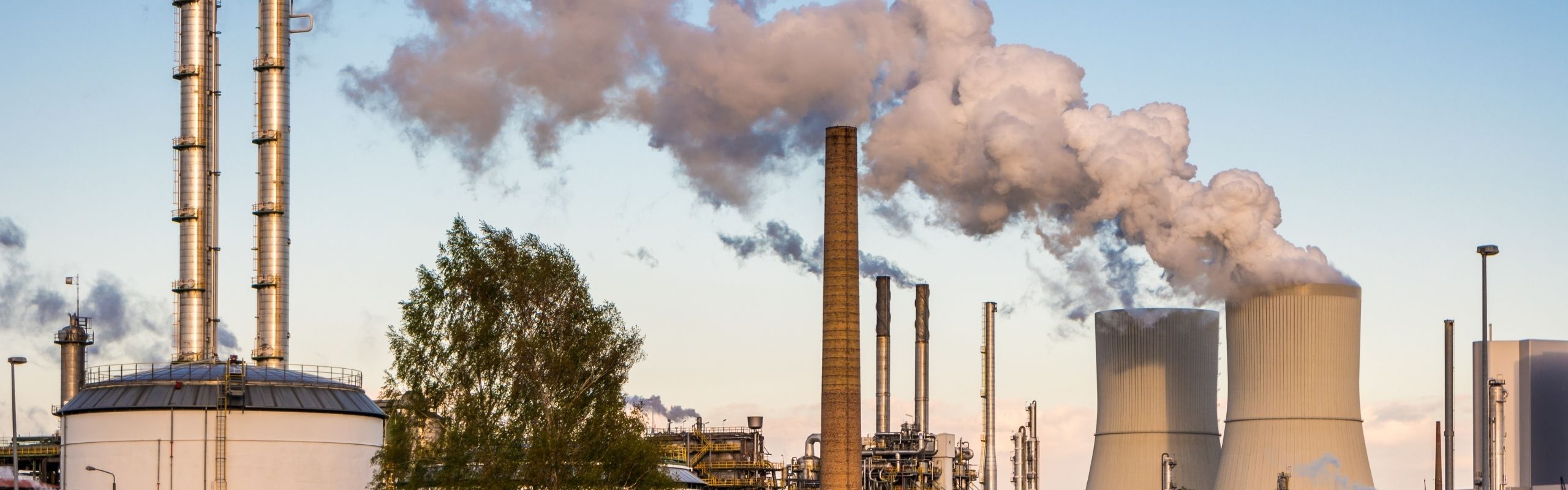 Net Zero Carbon
