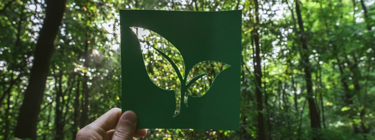 Newsletter images (6)