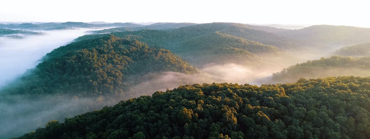 How Important is it to Offset Your Carbon Footprint?