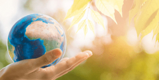 PlanetWatch carbon offsetting