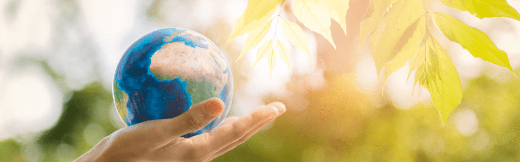 PlanetWatch carbon offsetting