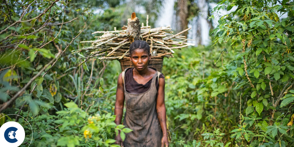 What is the future of voluntary carbon markets?