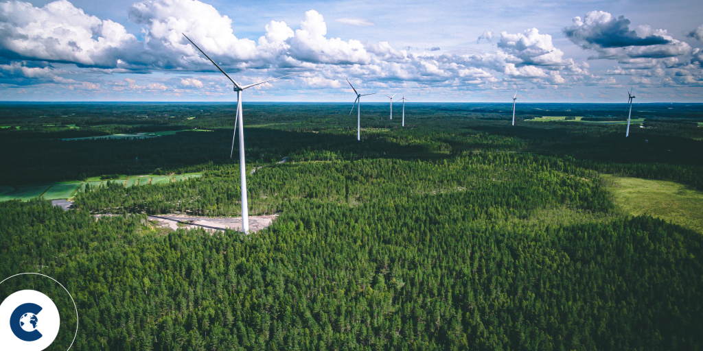 What is the future of voluntary carbon markets?