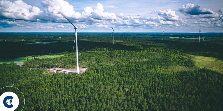 What is the future of voluntary carbon markets?