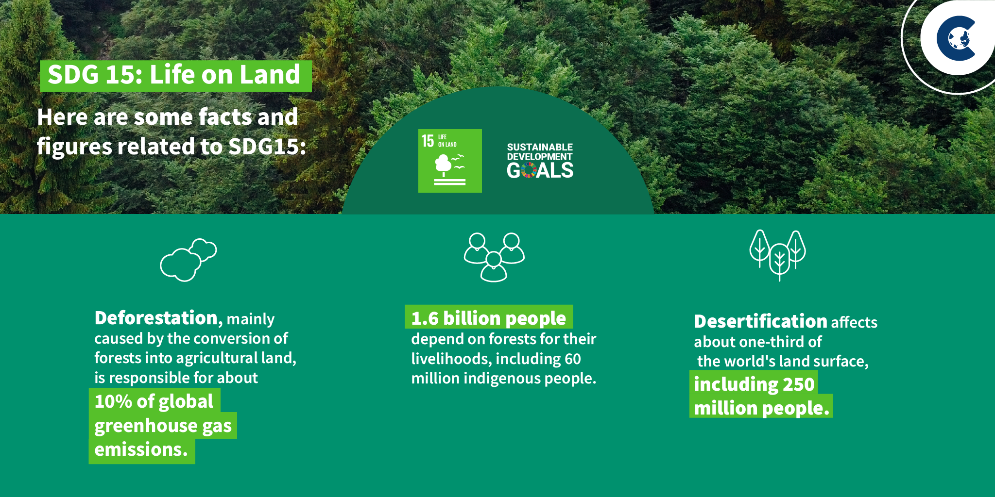 Deforestation SDG15