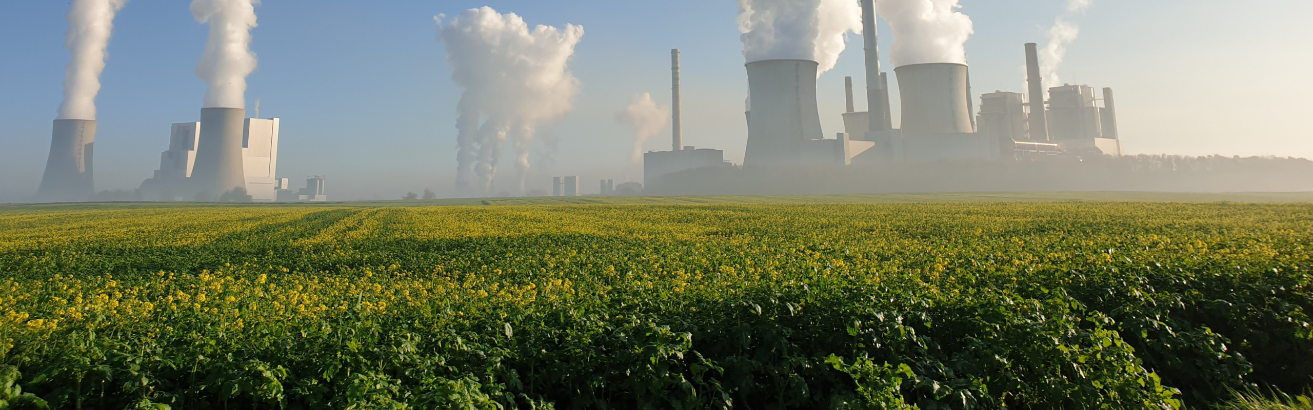 carbon sequestration