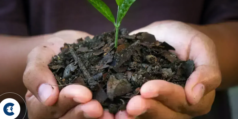 Heal R World and ClimateTrade partner to empower SMEs with the world’s largest carbon offset portfolio