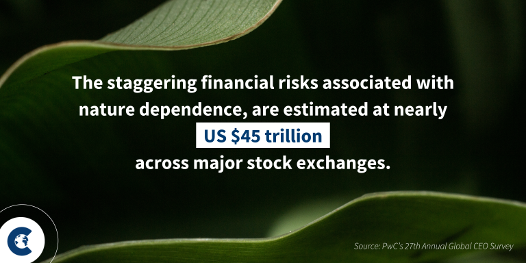 How to buy quality carbon credits on a budget