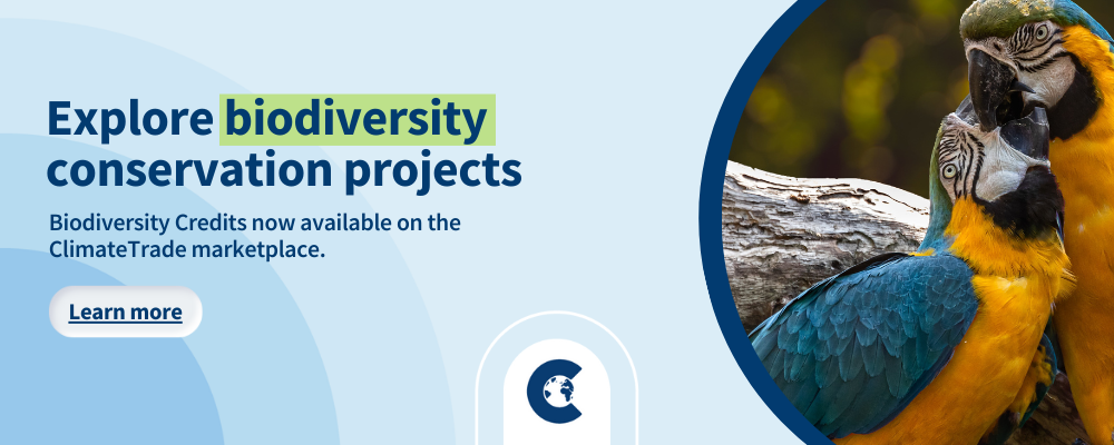 The Business Case for Biodiversity Credits: Transportation Edition