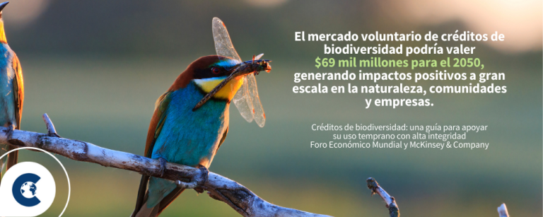El Caso empresarial para los créditos de biodiversidad: edición de transporte