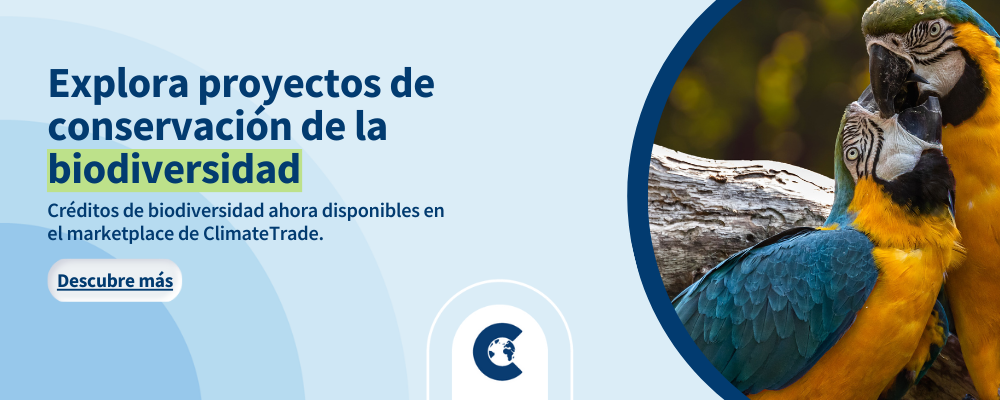 El Caso empresarial para los créditos de biodiversidad: edición de transporte