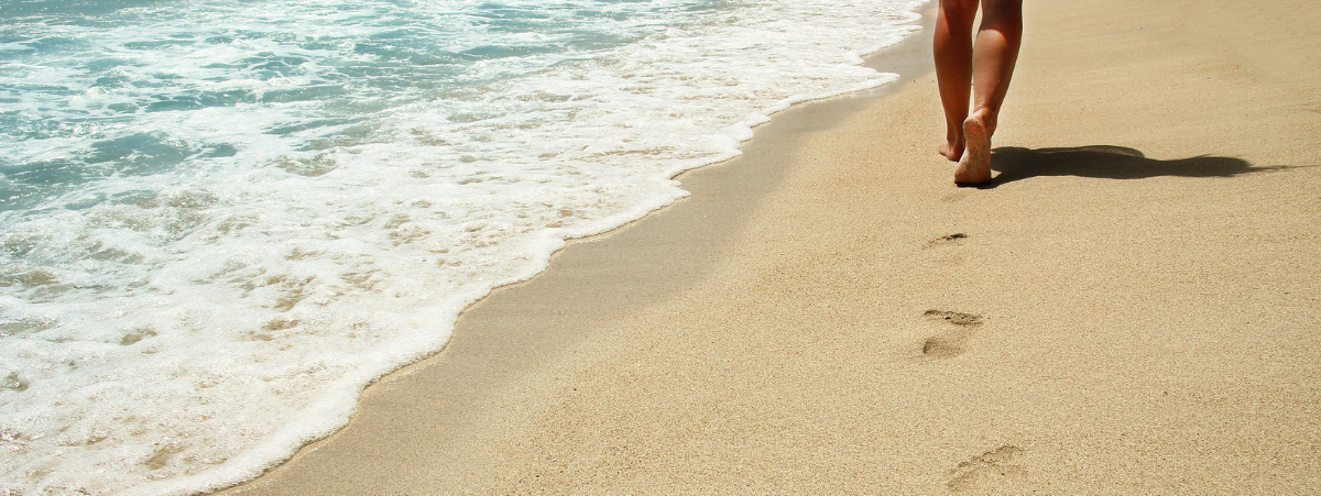 Carbon Footprint Sustainable Tourism