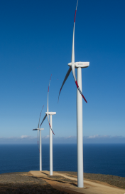 Subscribe to Newsletter​ ClimateTrade