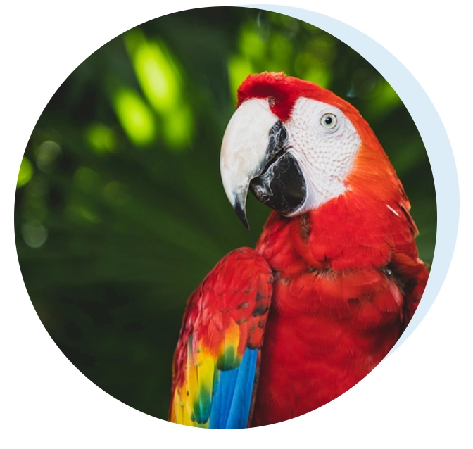 Biodiversity credits projects