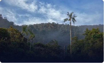 biodiversity projects climatetrade