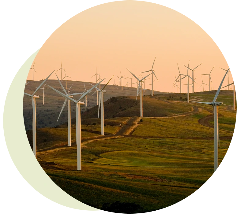 Carbon pricing guide